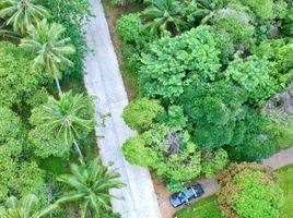  Land for sale in Puerto Princesa City, Mimaropa, Puerto Princesa City, Palawan, Mimaropa
