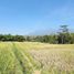  Land for sale in Junrejo, East Jawa, Junrejo