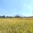  Land for sale in Junrejo, East Jawa, Junrejo