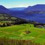  토지을(를) Cautin, 아라우 카니아에서 판매합니다., Villarrica, Cautin