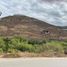  Land for sale in Chile, Coquimbo, Elqui, Coquimbo, Chile