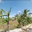  Land for sale in Laguindingan, Misamis Oriental, Laguindingan