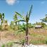  Land for sale in Laguindingan, Misamis Oriental, Laguindingan