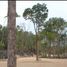  Land for sale in Cozumel, Quintana Roo, Cozumel, Quintana Roo
