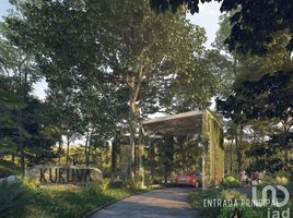  Land for sale in Cozumel, Quintana Roo, Cozumel, Quintana Roo