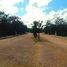  Land for sale in Cozumel, Quintana Roo, Cozumel, Quintana Roo