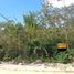  Land for sale in Cozumel, Quintana Roo, Cozumel, Quintana Roo