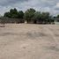  Land for rent in San Luis Potosi, San Luis Potosi, San Luis Potosi, San Luis Potosi