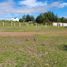  Land for sale in Huasca De Ocampo, Hidalgo, Huasca De Ocampo
