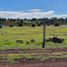  Land for sale in Huasca De Ocampo, Hidalgo, Huasca De Ocampo