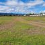  Land for sale in Huasca De Ocampo, Hidalgo, Huasca De Ocampo