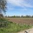  Terreno (Parcela) en venta en Chacabuco, Santiago, Colina, Chacabuco