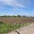  Terreno (Parcela) en venta en Chacabuco, Santiago, Colina, Chacabuco