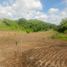  Land for sale in Pereira, Risaralda, Pereira