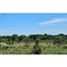 Studio Villa zu verkaufen in Dolega, Chiriqui, Dolega, Dolega