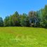  Land for sale in Chile, Lanco, Valdivia, Los Rios, Chile
