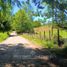  Land for sale in Chile, Lanco, Valdivia, Los Rios, Chile