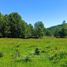 Land for sale in Chile, Lanco, Valdivia, Los Rios, Chile
