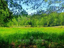  Land for sale in Chile, Lanco, Valdivia, Los Rios, Chile