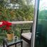 3 chambre Appartement for sale in Morelos, Huitzilac, Morelos