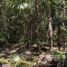 Terrain à vendre à Cozumel, Quintana Roo, Cozumel