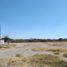  Land for rent in Torreon, Coahuila, Torreon, Coahuila