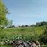  Land for sale in Alfajayucan, Hidalgo, Alfajayucan