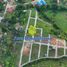  Land for sale in Florencia, Caqueta, Florencia