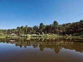  Terreno (Parcela) en venta en Mazamitla, Jalisco, Mazamitla