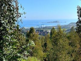  Terreno (Parcela) en venta en Cardenal Caro, Libertador General Bernardo O'Higgins, Navidad, Cardenal Caro