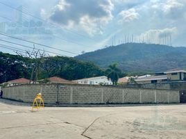  Land for sale in Guayaquil, Guayas, Guayaquil, Guayaquil