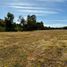  Terreno (Parcela) en venta en Chile, Villarrica, Cautín, Araucanía, Chile
