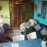 Maison 4 chambre à vendre à Cozumel, Quintana Roo, Cozumel