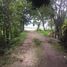  Land for sale in Dauis, Bohol, Dauis