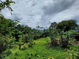  Tanah for sale in Bogor, West Jawa, Citeureup, Bogor