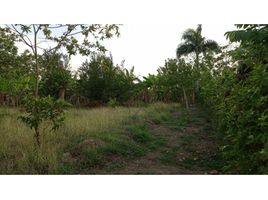  Land for sale in Cordoba, Monteria, Cordoba