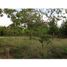  Land for sale in Cordoba, Monteria, Cordoba