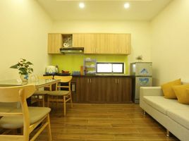 1 chambre Appartement for rent in Hoa Hai, Ngu Hanh Son, Hoa Hai