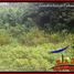  Land for sale in Kerambitan, Tabanan, Kerambitan