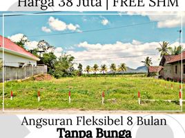  Land for sale in Banyuwangi, East Jawa, Gambiran, Banyuwangi