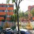 Appartement 2 chambre à vendre à Cuauhtemoc, Mexico City, Cuauhtemoc