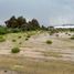  Terreno (Parcela) en venta en Zempoala, Hidalgo, Zempoala