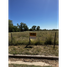  Land for sale in Uruguay Entre Rios, Uruguay