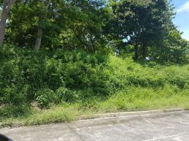  Land for sale in Batangas, Calabarzon, Nasugbu, Batangas