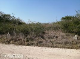  Grundstück zu verkaufen in Conkal, Yucatan, Conkal