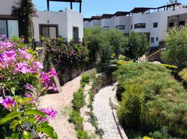 2 Habitación Villa en alquiler en Allende, Guanajuato, Allende