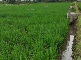  Grundstück zu verkaufen in Bandung, West Jawa, Cibiru