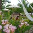 Studio House for sale in Hocaba, Yucatan, Hocaba