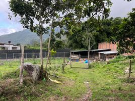  Terreno (Parcela) en venta en Chinacota, Norte De Santander, Chinacota