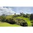  Terreno (Parcela) en venta en Rionegro, Antioquia, Rionegro, Antioquia